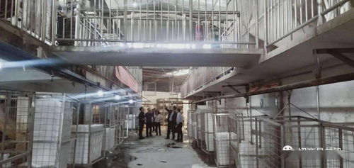 綠色包裝與節(jié)能保溫材料項(xiàng)目成功簽約，金屬裝飾材料零售市場迎新機(jī)